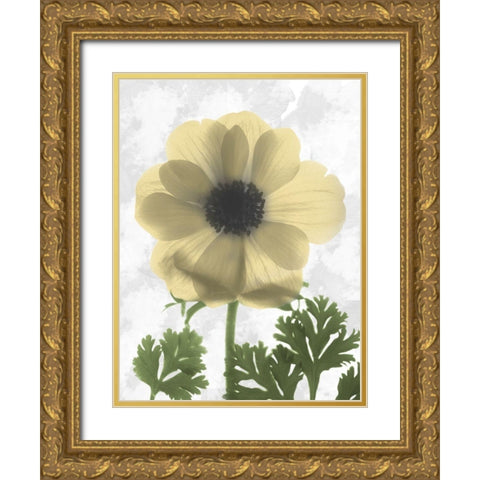 Bright Magnolia 1 Gold Ornate Wood Framed Art Print with Double Matting by Koetsier, Albert