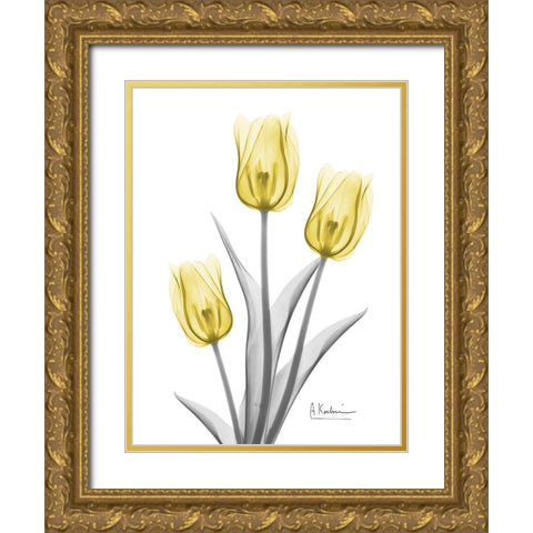 Illuminating Tulip Trio 2 Gold Ornate Wood Framed Art Print with Double Matting by Koetsier, Albert