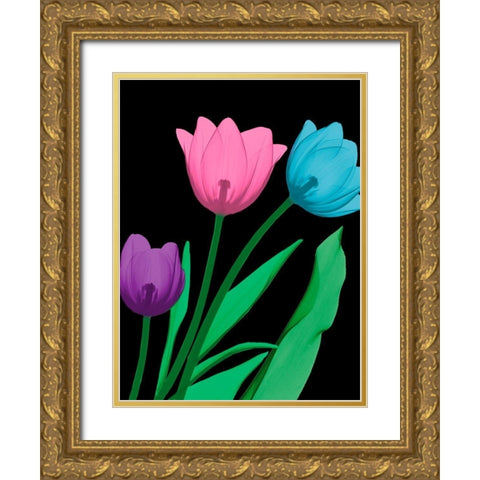 Shiny Tulips 4 Gold Ornate Wood Framed Art Print with Double Matting by Koetsier, Albert