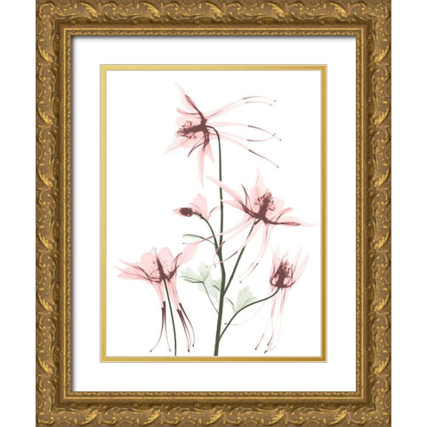 Blush Columbine 1 Gold Ornate Wood Framed Art Print with Double Matting by Koetsier, Albert