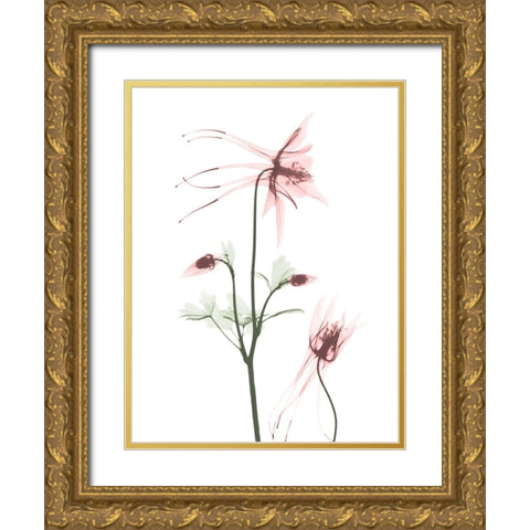 Blush Columbine 2 Gold Ornate Wood Framed Art Print with Double Matting by Koetsier, Albert