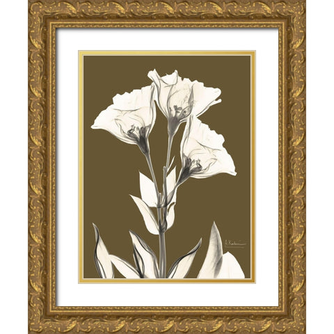 Gentian Fall Gold Ornate Wood Framed Art Print with Double Matting by Koetsier, Albert