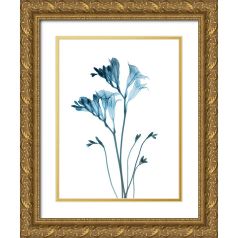 Blue Freesia Gold Ornate Wood Framed Art Print with Double Matting by Koetsier, Albert