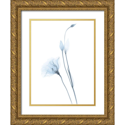 Light Gentian Gold Ornate Wood Framed Art Print with Double Matting by Koetsier, Albert