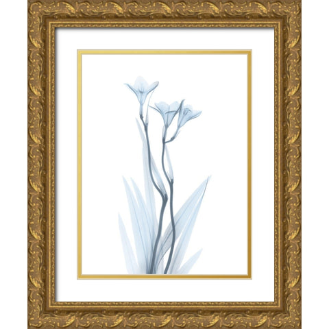 Light Freesia Gold Ornate Wood Framed Art Print with Double Matting by Koetsier, Albert