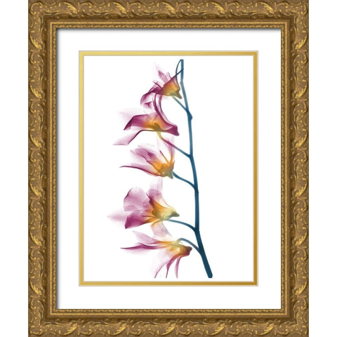 Summer Orchid B69 Gold Ornate Wood Framed Art Print with Double Matting by Koetsier, Albert