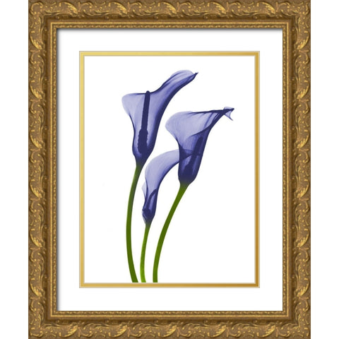 Rowdy Calla Lilly Trio K1 Gold Ornate Wood Framed Art Print with Double Matting by Koetsier, Albert