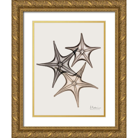 _Sand Starfish Gold Ornate Wood Framed Art Print with Double Matting by Koetsier, Albert