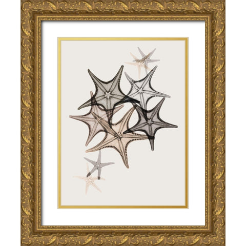 Sand Starfish 2 Gold Ornate Wood Framed Art Print with Double Matting by Koetsier, Albert