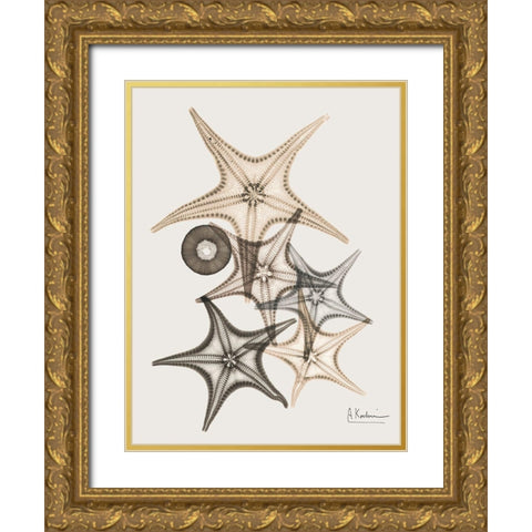 Sand Starfish 3 Gold Ornate Wood Framed Art Print with Double Matting by Koetsier, Albert