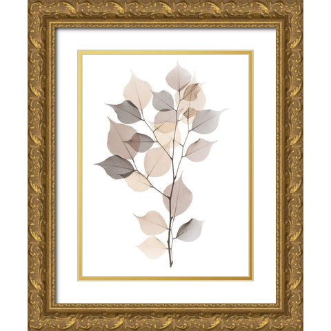 Sandy Myrtle Tree  Gold Ornate Wood Framed Art Print with Double Matting by Koetsier, Albert