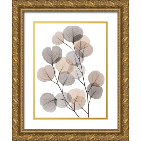 Earthy Eucalyptus Bunch Gold Ornate Wood Framed Art Print with Double Matting by Koetsier, Albert