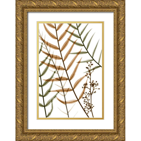 Urban Pepper Tree Gold Ornate Wood Framed Art Print with Double Matting by Koetsier, Albert