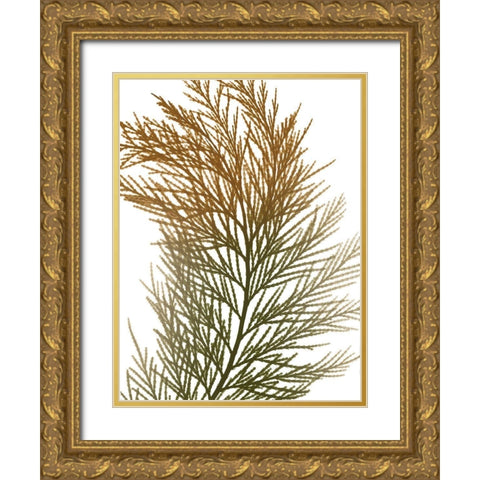 Urban Incense Cedar Gold Ornate Wood Framed Art Print with Double Matting by Koetsier, Albert