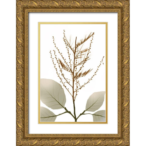 Urban Reach 2 Gold Ornate Wood Framed Art Print with Double Matting by Koetsier, Albert