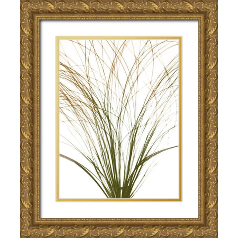 Urban Frayed Soul Gold Ornate Wood Framed Art Print with Double Matting by Koetsier, Albert