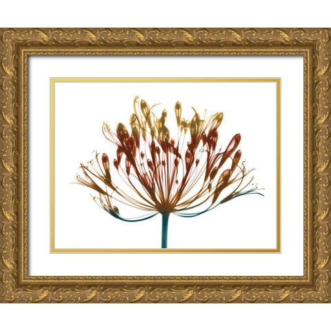 Urban Lily Gold Ornate Wood Framed Art Print with Double Matting by Koetsier, Albert