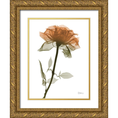 Urban Rose 1 Gold Ornate Wood Framed Art Print with Double Matting by Koetsier, Albert