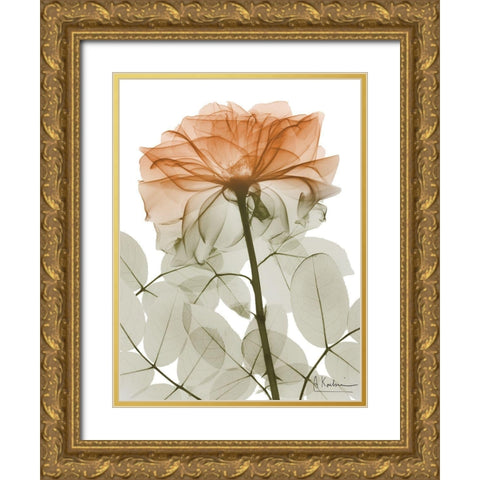 Urban Jungle Rose 2 Gold Ornate Wood Framed Art Print with Double Matting by Koetsier, Albert