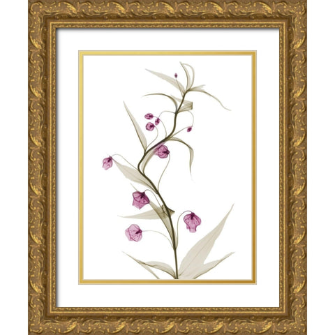 Spring Lily L141 Gold Ornate Wood Framed Art Print with Double Matting by Koetsier, Albert