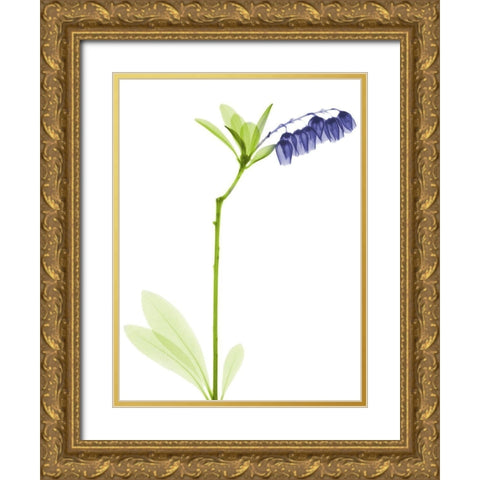 Rowdy Lily Of The Vally Bush H07 Gold Ornate Wood Framed Art Print with Double Matting by Koetsier, Albert