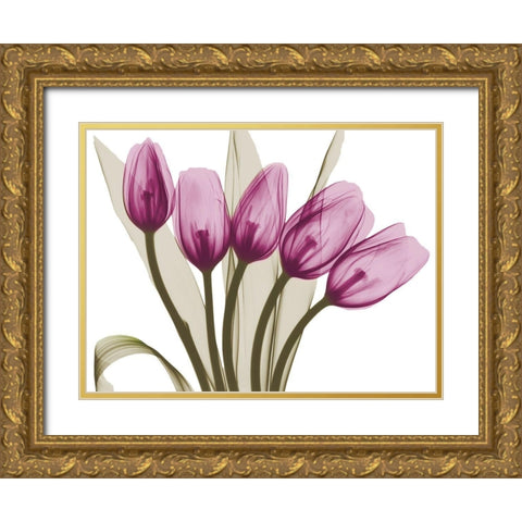 Vibrant Marching Tulips Gold Ornate Wood Framed Art Print with Double Matting by Koetsier, Albert