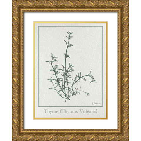Thymus Vulgaris 2 Gold Ornate Wood Framed Art Print with Double Matting by Koetsier, Albert