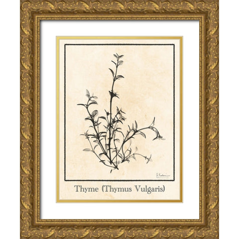 Thymus Vulgaris Gold Ornate Wood Framed Art Print with Double Matting by Koetsier, Albert