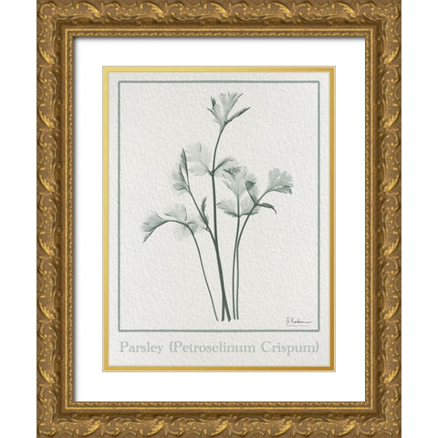 Parsley 2 Gold Ornate Wood Framed Art Print with Double Matting by Koetsier, Albert