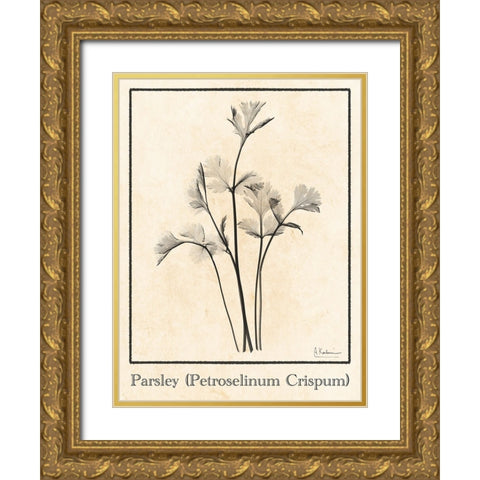 Parsley Gold Ornate Wood Framed Art Print with Double Matting by Koetsier, Albert