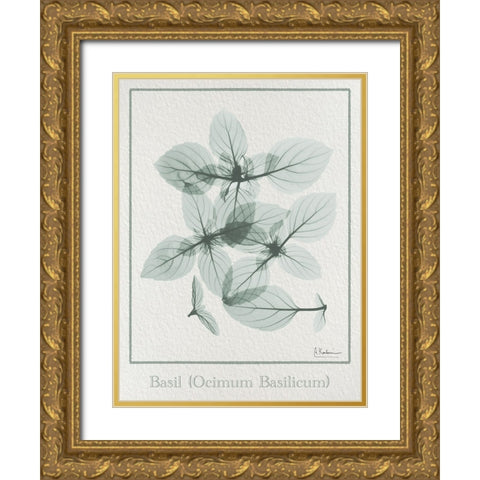 Basil Ocimum Basilicum 2 Gold Ornate Wood Framed Art Print with Double Matting by Koetsier, Albert