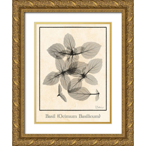 Basil Ocimum Basilicum Gold Ornate Wood Framed Art Print with Double Matting by Koetsier, Albert