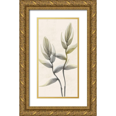 Sunkissed Growth 4 Gold Ornate Wood Framed Art Print with Double Matting by Koetsier, Albert