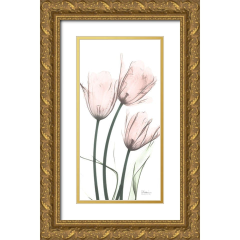 Strawberry Infused Tulips Gold Ornate Wood Framed Art Print with Double Matting by Koetsier, Albert