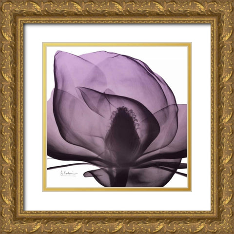 Magnolia Wine Beauty Gold Ornate Wood Framed Art Print with Double Matting by Koetsier, Albert