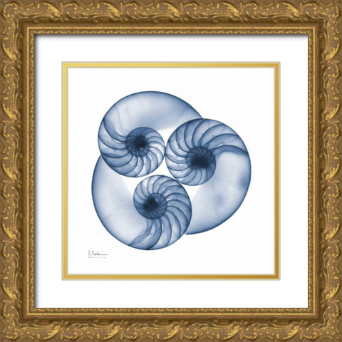 Indigo Nautilus Trio Gold Ornate Wood Framed Art Print with Double Matting by Koetsier, Albert