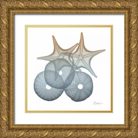 Earthy Hues Sea Urchin and Starfish Gold Ornate Wood Framed Art Print with Double Matting by Koetsier, Albert