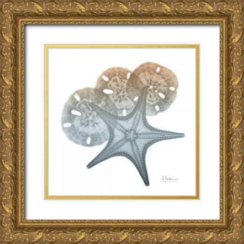 Earthy Hues Starfish and Sand Dollar Gold Ornate Wood Framed Art Print with Double Matting by Koetsier, Albert