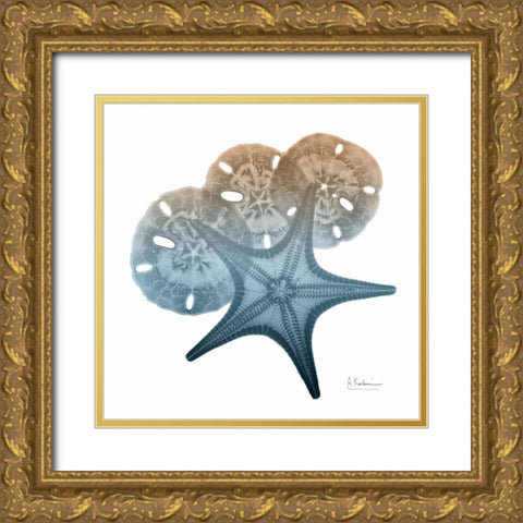 Steel Hues Starfish and Sand Dollar Gold Ornate Wood Framed Art Print with Double Matting by Koetsier, Albert