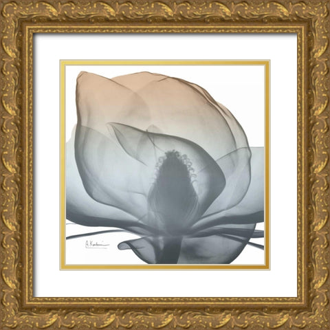 Magnolia Earthy Beauty New Gold Ornate Wood Framed Art Print with Double Matting by Koetsier, Albert