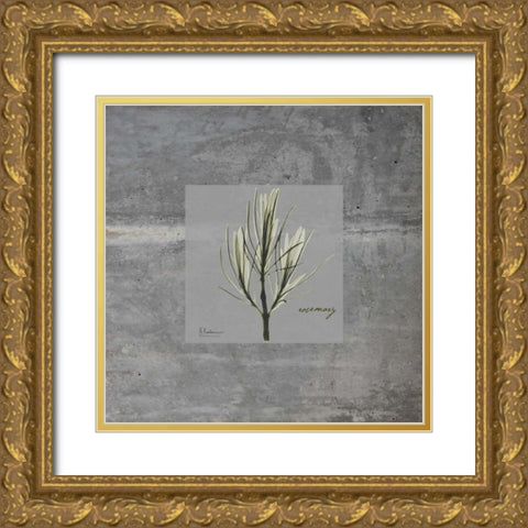 Concrete Rosemary Gold Ornate Wood Framed Art Print with Double Matting by Koetsier, Albert