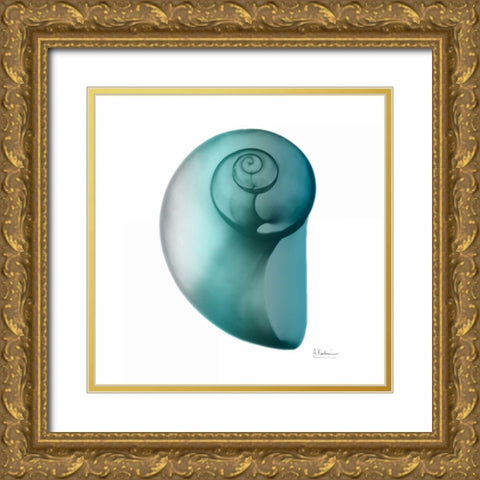 Teal Water Snail 2 Gold Ornate Wood Framed Art Print with Double Matting by Koetsier, Albert