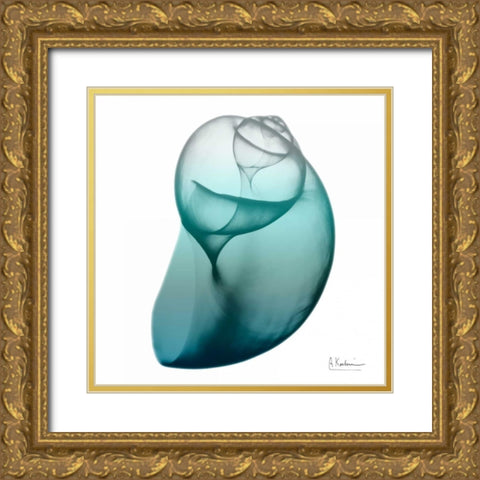 Water Snail 3 Gold Ornate Wood Framed Art Print with Double Matting by Koetsier, Albert