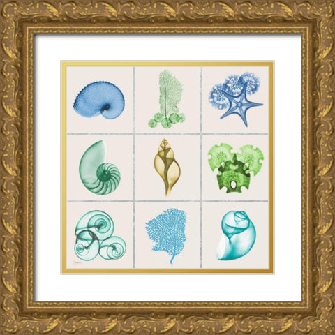 Sealife 9 Patch Gold Ornate Wood Framed Art Print with Double Matting by Koetsier, Albert