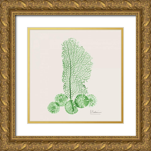 Emerald Sea Fan and Sand Dollar Gold Ornate Wood Framed Art Print with Double Matting by Koetsier, Albert