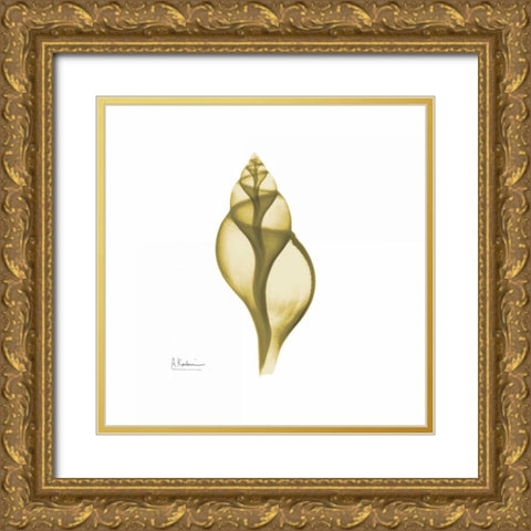 Genie Tulip Shell 2 Gold Ornate Wood Framed Art Print with Double Matting by Koetsier, Albert