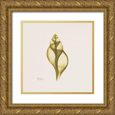 Genie Tulip Shell Gold Ornate Wood Framed Art Print with Double Matting by Koetsier, Albert