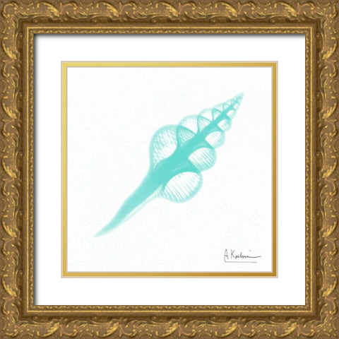 Dry Fusinus Colus Seafoam Gold Ornate Wood Framed Art Print with Double Matting by Koetsier, Albert