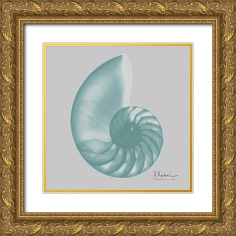 Aquifer Sea Shell Gold Ornate Wood Framed Art Print with Double Matting by Koetsier, Albert