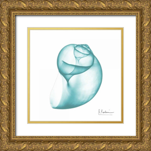 Turquoise Water Snail Gold Ornate Wood Framed Art Print with Double Matting by Koetsier, Albert